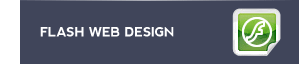 Flash Web Design
