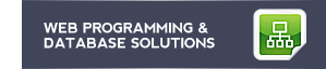 Web Programming and Database Solutions
