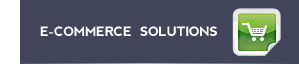 Ecommerce Solutions