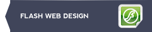 flash web design
