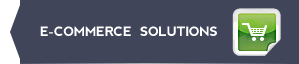 ecommerce solutions