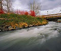 eugene website design oregon